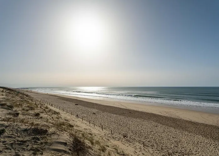 Maison 3* A Plage, 6 Pers, Jardin Clos, Proche Plages Et Activites - Fr-1-50-110 Vakantiehuis Mimizan-Plage